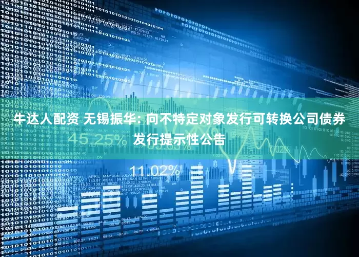 牛达人配资 无锡振华: 向不特定对象发行可转换公司债券发行提示性公告